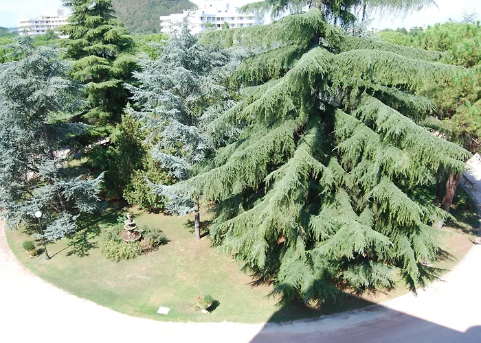 Terme Imperial 4*